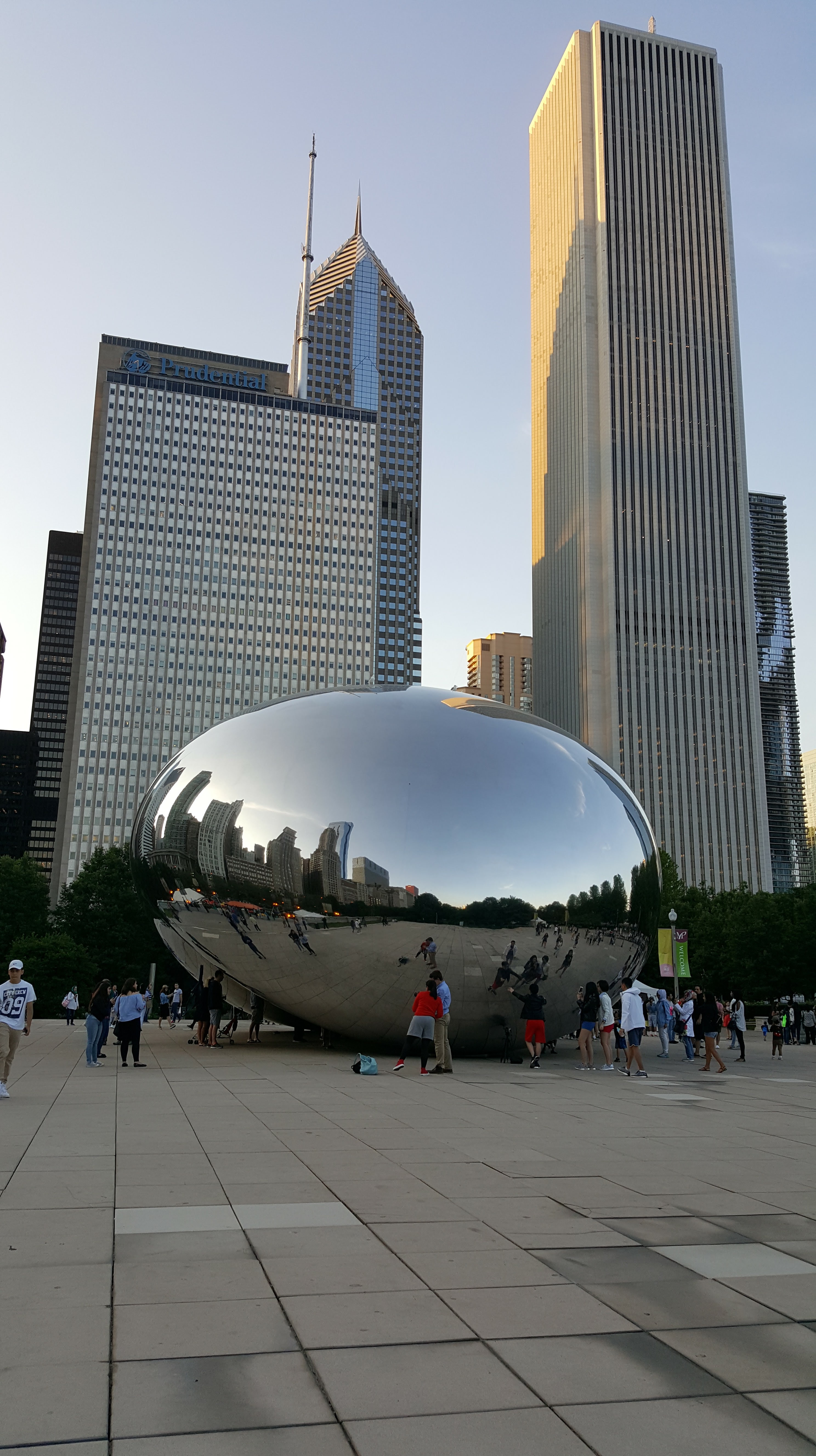 The Bean
