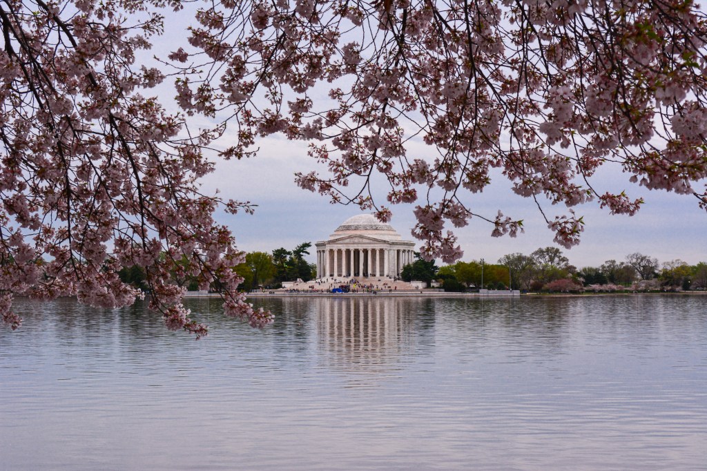 Tidal Basin